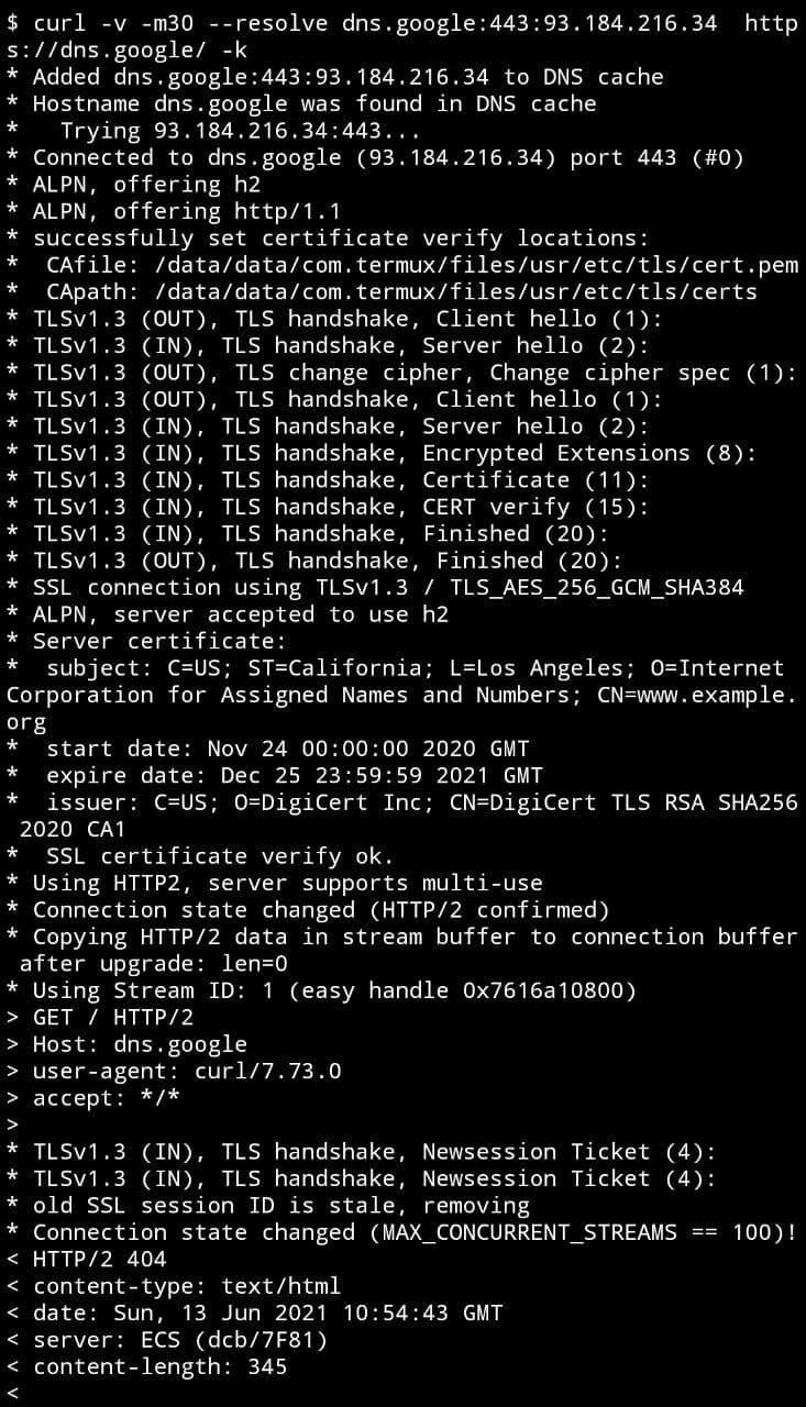 HTTPS mci curl dns.google with example.com ip part 1