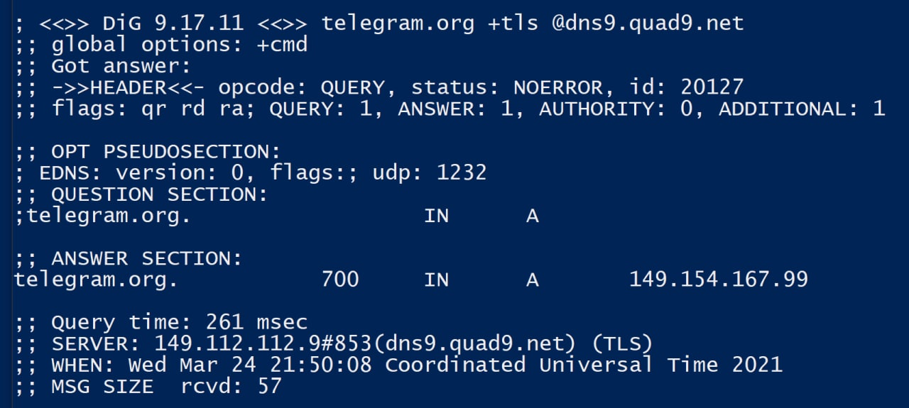 dns windows dig dot tls at quad9